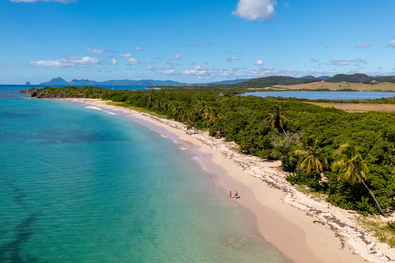 Vue aérienne d'une plage, Martinique
